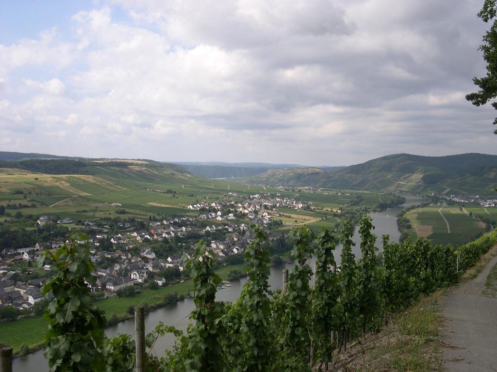 Juffer Flair Restaurant Gaestehaus Brauneberg Esterno foto