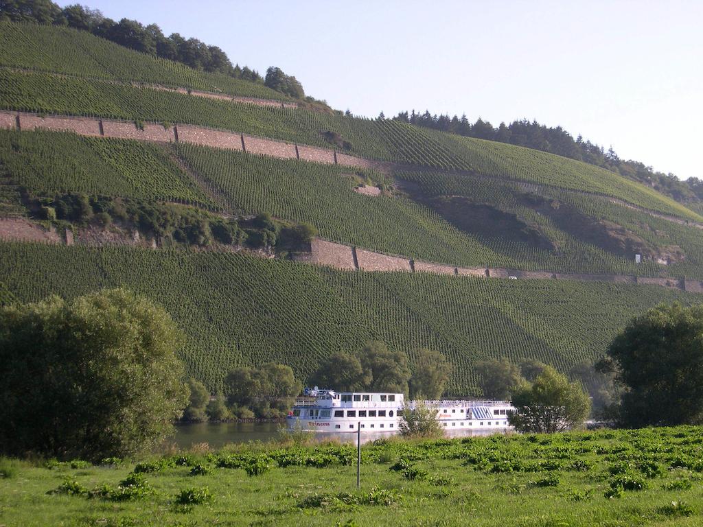 Juffer Flair Restaurant Gaestehaus Brauneberg Esterno foto